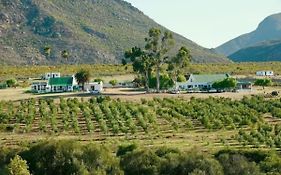 Bronze Grove Farm And Chalets